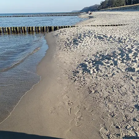 Bernsteinquartier, Duenengras, Whg 04 39